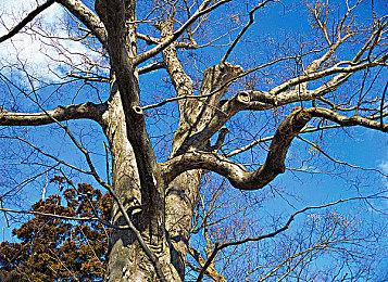 《搭档任务:秘密搜查组》中文版8月20日发售 体验版已推出