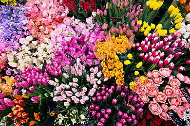 肉鸽卡牌构筑《打倒白雪公主！乌拉！》Steam页面上线 支持简中